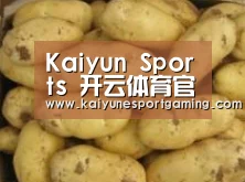 产品展示标题6