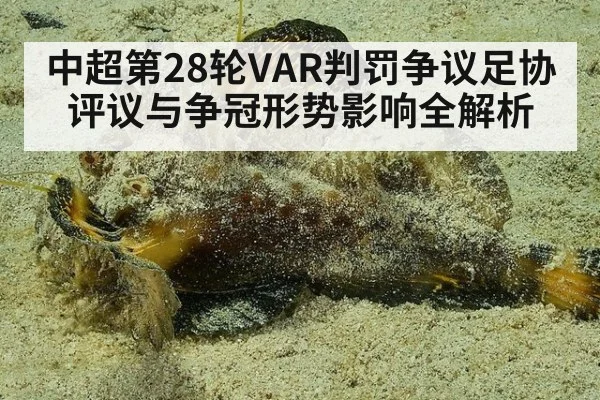 中超第28轮VAR判罚争议足协评议与争冠形势影响全解析